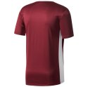 Koszulka dla dzieci adidas Entrada 18 Jersey JUNIOR bordowa CE9564 116cm Adidas teamwear