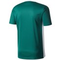 Koszulka dla dzieci adidas Entrada 18 Jersey JUNIOR zielona CE9563 116cm Adidas teamwear