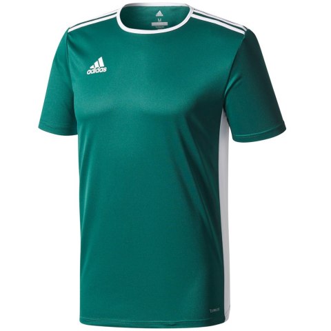 Koszulka dla dzieci adidas Entrada 18 Jersey JUNIOR zielona CE9563 128cm Adidas teamwear