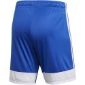 Spodenki dla dzieci adidas Tastigo 19 Shorts JUNIOR niebieskie DP3682/DP3686 128cm Adidas teamwear