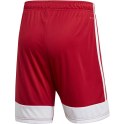 Spodenki męskie adidas Tastigo 19 Shorts czerwone DP3681 M Adidas teamwear