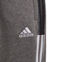 Spodnie dla dzieci adidas Tiro 21 Sweat szare GP8809 116cm Adidas teamwear