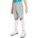 Spodenki dla dzieci Nike NK Df Academy Shrt Wp Gx szare CV1469 019 L Nike Football