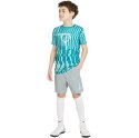 Spodenki dla dzieci Nike NK Df Academy Shrt Wp Gx szare CV1469 019 L Nike Football