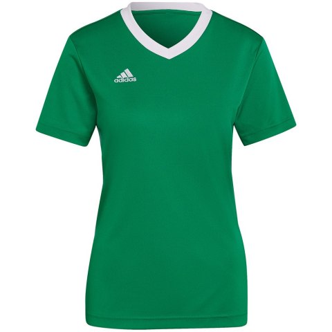 Koszulka damska adidas Entrada 22 Jersey zielona HI2124 L Adidas teamwear