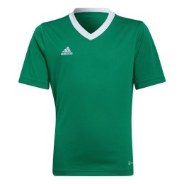 Koszulka dla dzieci adidas Entrada 22 Jersey zielona HI2126 116cm Adidas teamwear