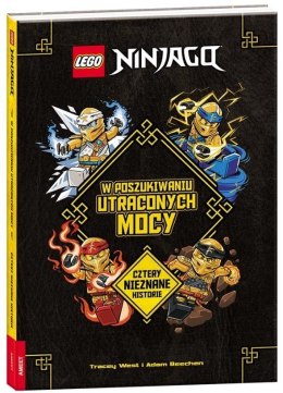 Lego Ninjago. W poszukiwaniu utraconych mocy Ameet