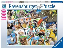 Puzzle 1000 Zwierzaki w podróży Ravensburger