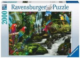 Puzzle 2000 Papugi w dżungli Ravensburger