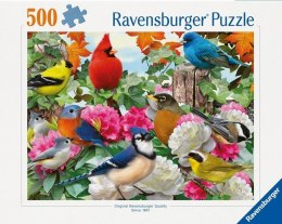 Puzzle 2D 500 Ptaki ogrodowe Ravensburger