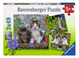 Puzzle 3x49 Kocięta Ravensburger