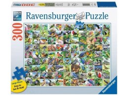 Puzzle 300 99 zachwycających ptaków Ravensburger