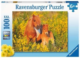 Puzzle XXL 100 Kucyki Ravensburger