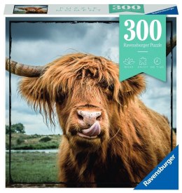 Puzzle Moment 300 Szkocka krowa Ravensburger