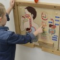 MASTERKIDZ Tablica Edukacyjna Układ Trawienny Montessori Masterkidz