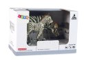 Zestaw 2 Figurek Zebra z Młodym Zebry Figurka Zwierzęta LEAN Toys