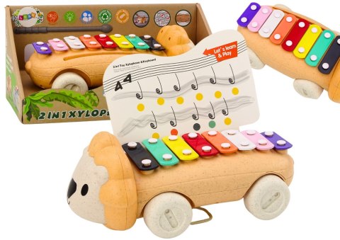 Cymbałki Lew Na Kółkach Instrument Dla Dzieci Kolorowe Edukacyjne LEAN Toys