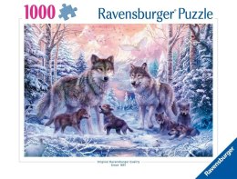 Puzzle 1000 Śnieżne wilki Ravensburger