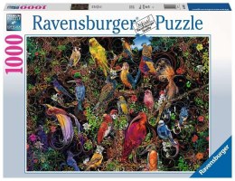 Puzzle 1000 Sztuka ptaków Ravensburger